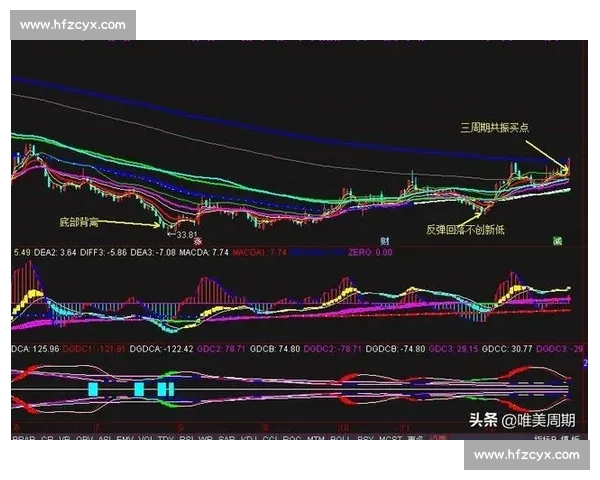 13对24的对比分析：探索两者之间的差异与发展潜力